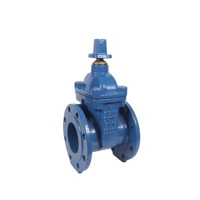 DIN3352 F4 F5 Resilient Seated Flanged Gate Valves