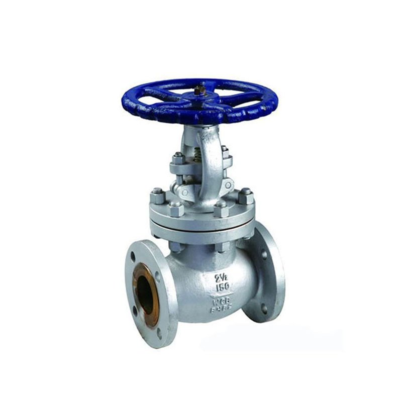  API/BS Cast Steel Globe Valve-466