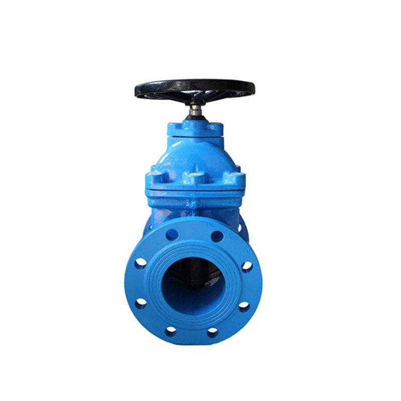 BS5150 Non-rising Stem Flanged End Gate Valve-491