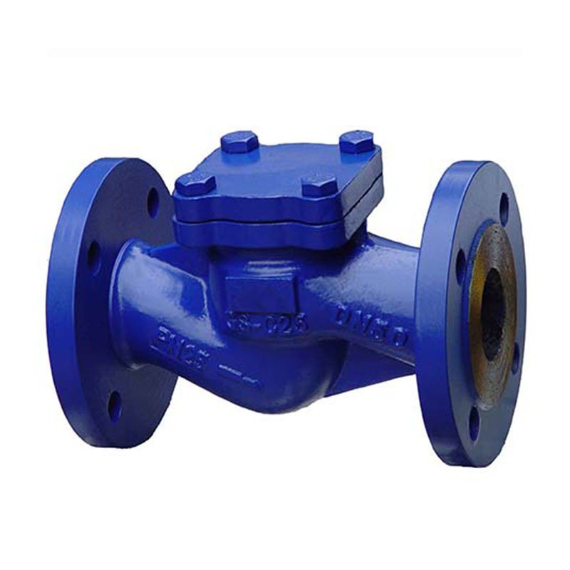 Lift Check Valve-459